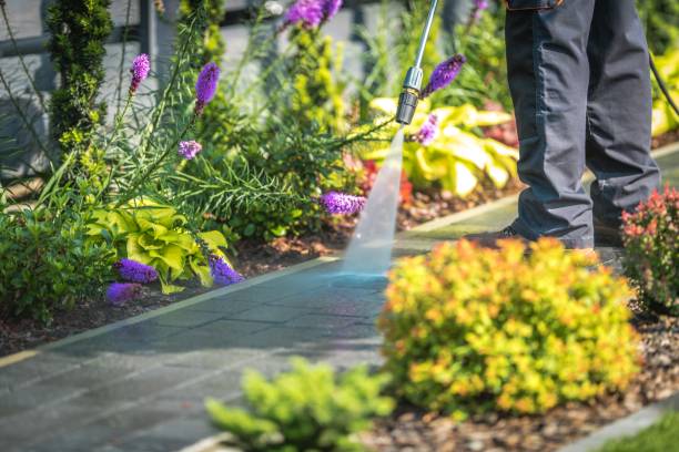 Best Gas Station Cleaning  in Windermere, FL