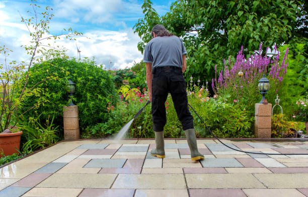 Best Winterizing Services  in Windermere, FL